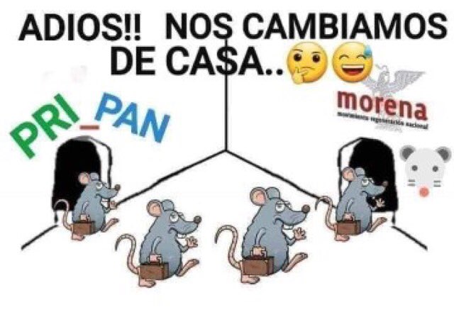 Circula en la Red 💥