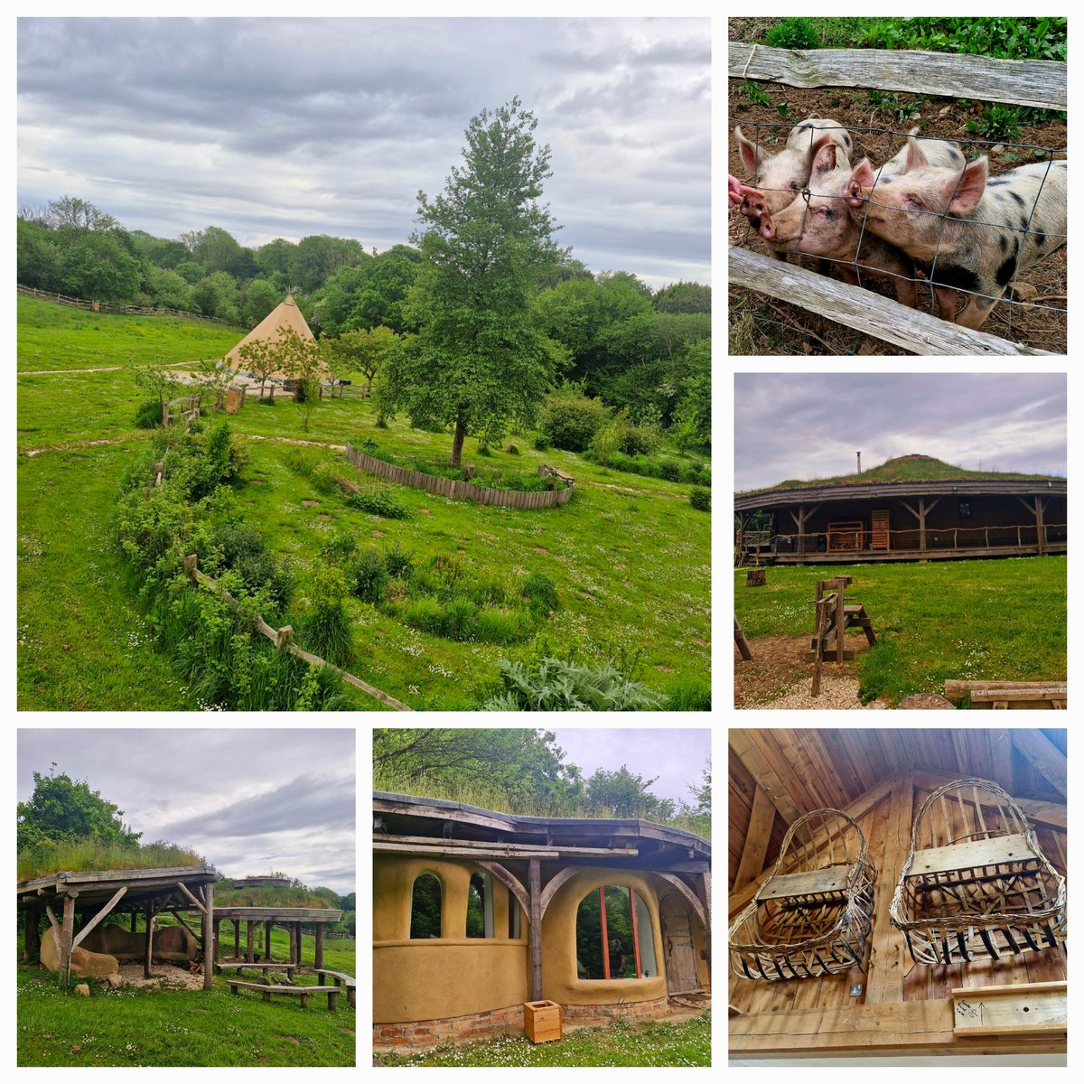 Sian Thomas (@siant_ot) on Twitter photo A fantastic visit to Down to Earth gower sites today showcasing thier C&YP collaborative projects & builds to date & a very exciting potential partnership for our
NPT Children's centre garden campaign & <a href="/SBUHBOT/">SBUHB Occupational Therapists 💚</a> ,Camhs and therapy services populations 💫
swanseabayhealthcharity.enthuse.com/cf/childrens-t… A fantastic visit to Down to Earth gower sites today showcasing thier C&YP collaborative projects & builds to date & a very exciting potential partnership for our
NPT Children's centre garden campaign & <a href="/SBUHBOT/">SBUHB Occupational Therapists 💚</a> ,Camhs and therapy services populations 💫
swanseabayhealthcharity.enthuse.com/cf/childrens-t…
