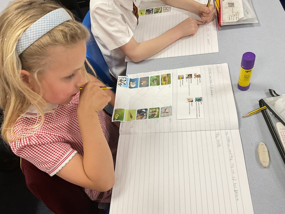 PDA_Y2's tweet image. We have been learning about adults and their offspring in #pdascience . Using our great science vocabulary, we explained how offspring inherit their parent’s genes and so can resemble them.