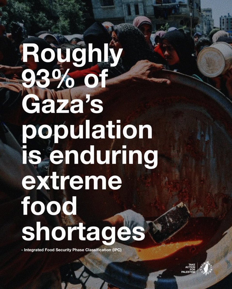 GAZA'S ENTIRE POPULATION IS NOW ON THE BRINK OF FAMINE
A new report from the Integrated Food Security Phase
Classification (IPC) initiative has confirmed that half a million people in Gaza are now facing starvation, with the entire population on the brink of famine.
For over 70