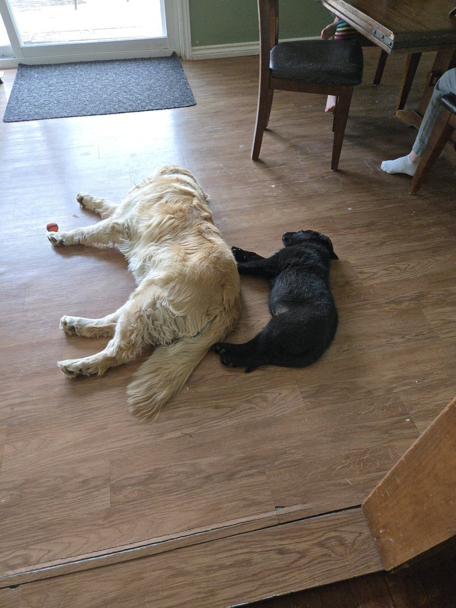 It was a busy day for both of them.