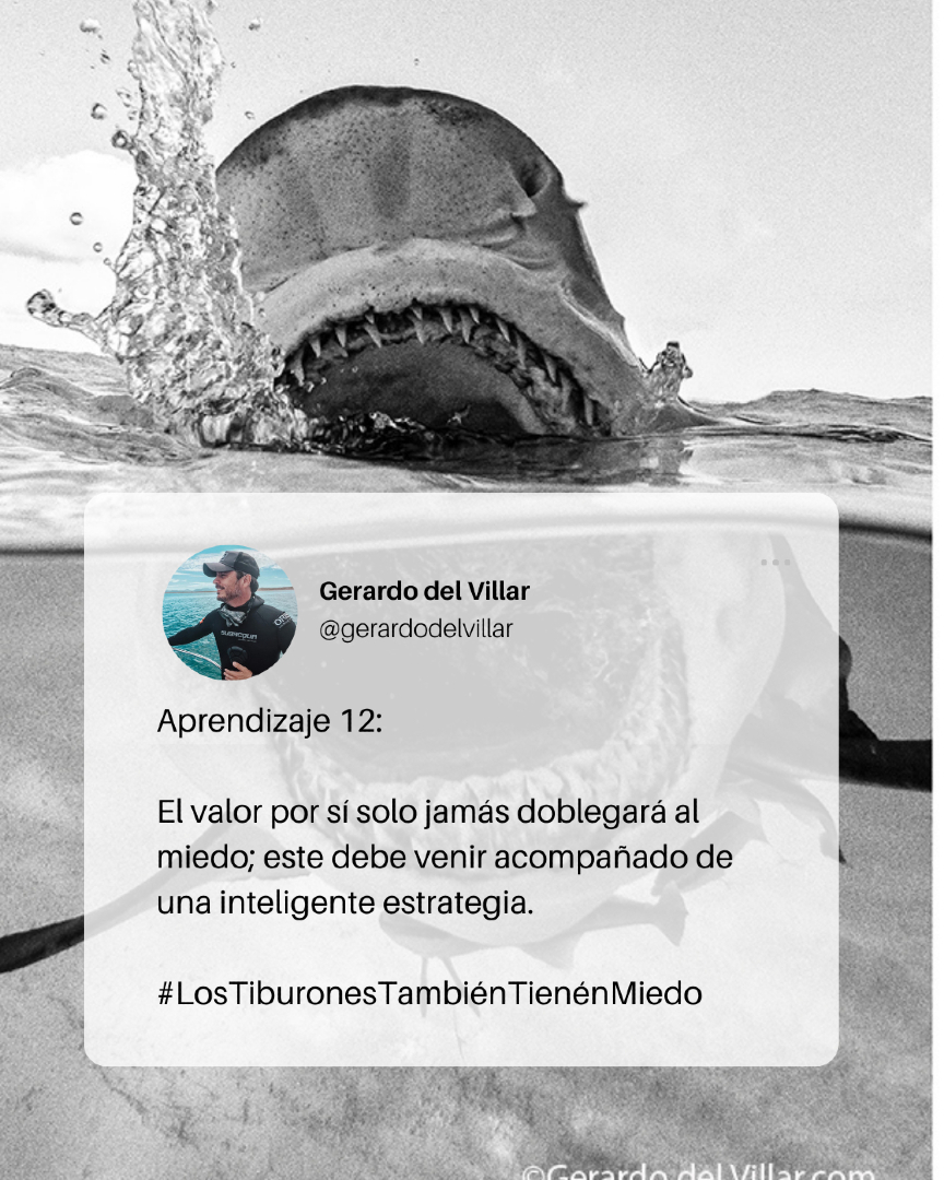 El valor por sí solo no es suficiente para vencer el miedo.

He aprendido, buceando con tiburones y enfrentando toros de más de 500 kilos, que el coraje sin estrategia puede costarte caro.

A veces, confundimos actuar con valentía con lanzarnos sin pensar. Pero el verdadero poder