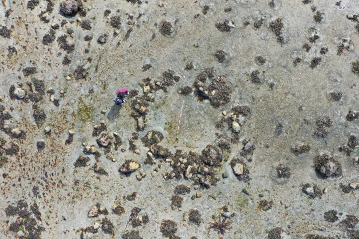 Archaeologists uncovered stone tools on the Isle of Skye dating back 11,000 years, revealing that early hunter-gatherers ventured far into Scotland's north. The discovery shows how these pioneers survived a rapidly changing Ice Age landscape, leaving their mark on what had