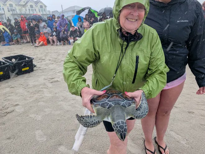 PHOTOS: The weather was monsoon-like. But that didn't stop hundreds of supporters turning out in Surf City Monday to see 15 sea turtles rehabbed at <a href="/SeaTurtleHosp/">Karen Beasley Sea Turtle Rescue & Rehabilitatn Ctr</a> released back into the wild.  tinyurl.com/f82xd2pt <a href="/StarNewsOnline/">StarNewsOnline</a> <a href="/NCCoastalFed/">N.C. Coastal Fed</a> <a href="/EnvironmentNC/">EnvironmentNC</a> <a href="/SierraClubNC/">SierraClubNC</a>
