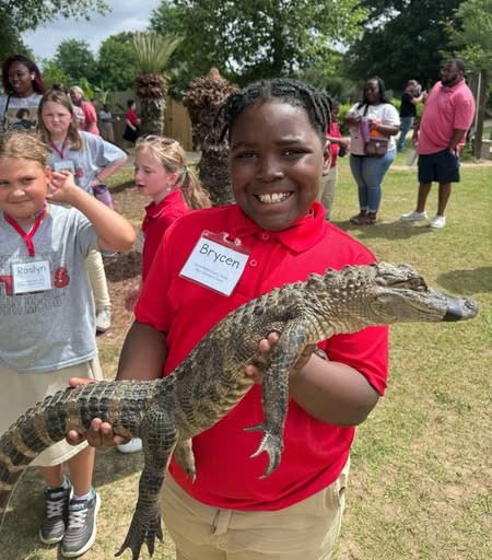 MobilePublicSch's tweet image. Second-graders from North Mobile County K-8 got to visit Alligator Alley earlier this month! They learned about alligators and their swampy habitat, along with some other critters. This field trip was supported by the school&apos;s Partner In Education, SSAB. #LearningLeading