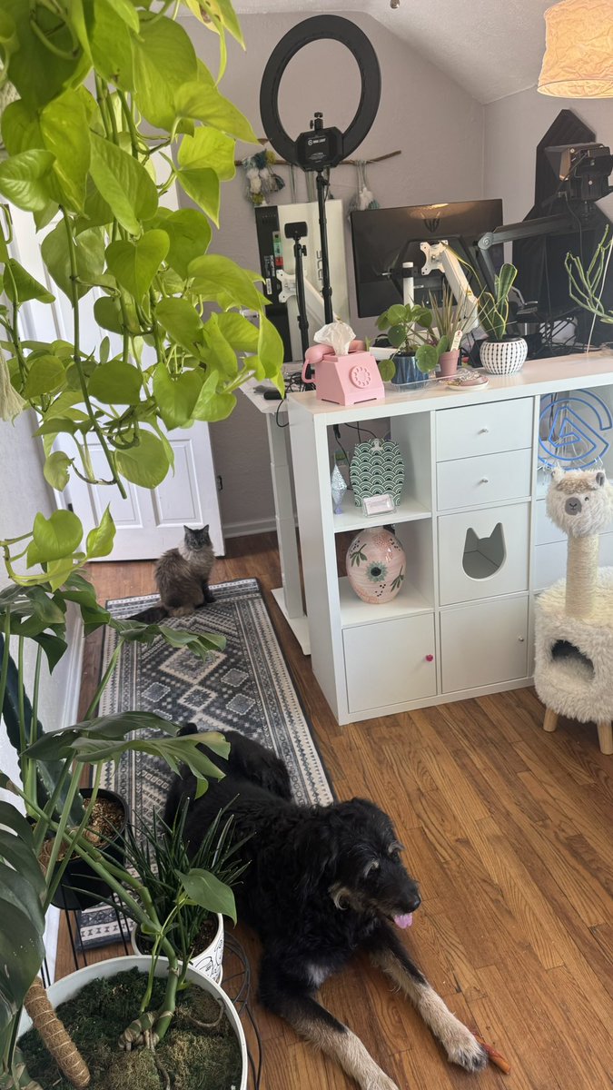 Simmies!! I have missed you!! After a long, difficult, but healing move I have finally gotten my new office setup! I’m loving the vibes of my new space and working on fixes and new CC as we speak!!  🫶🏼🥳🥰 what should I make next?!?