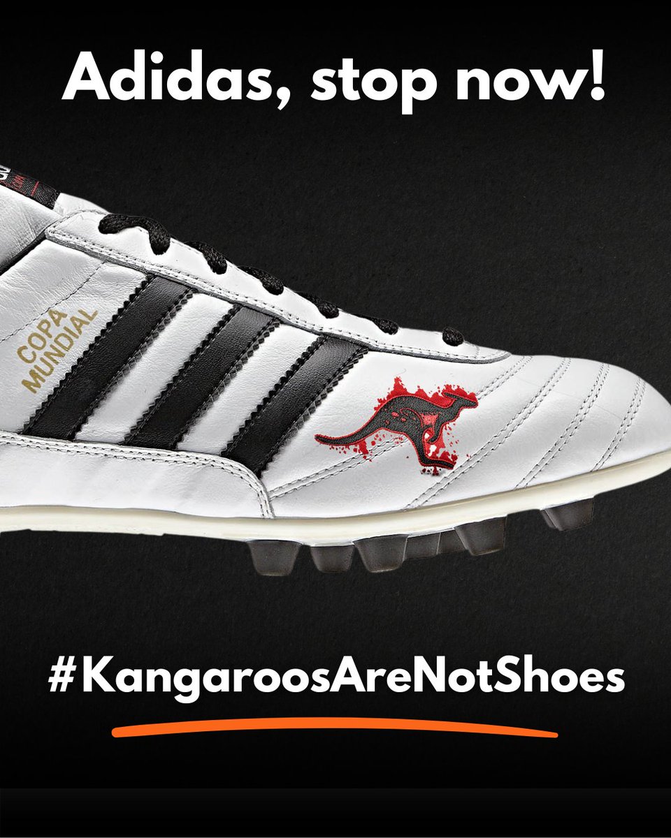 One year has elapsed since #Adidas CEO Bjorn Gulden publicly acknowledged that the nightly #kangaroo hunts in Australia are "terrible" and stated that <a href="/adidasfootball/">adidas Football</a> would stop fabricating shoes with kangaroo skin "sooner than you might think." 

The <a href="/adidas/">adidas</a> Annual General