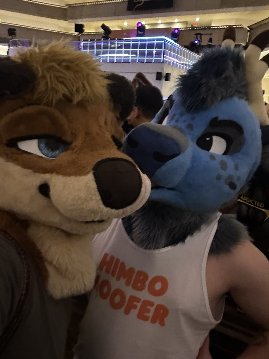 ↖️: <a href="/lutherspaws/">luther♏️</a> 
↗️: <a href="/Squip_2/">Squip 🐾</a> 
↙️: <a href="/dylanthefloofer/">DYLAN 🔜 AC</a> 
↘️: <a href="/Caribumms/">NikkiBou 🔜 Megaplex</a>