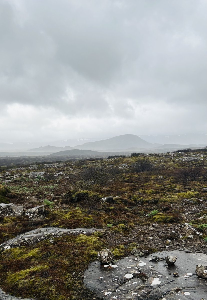 RTJ2GolfDesign's tweet image. Our latest design is in Iceland. Bruce Charleton and Mike Gorman recently wrapped up preliminary site routing studies on a spectacular site near Reykjavik.
