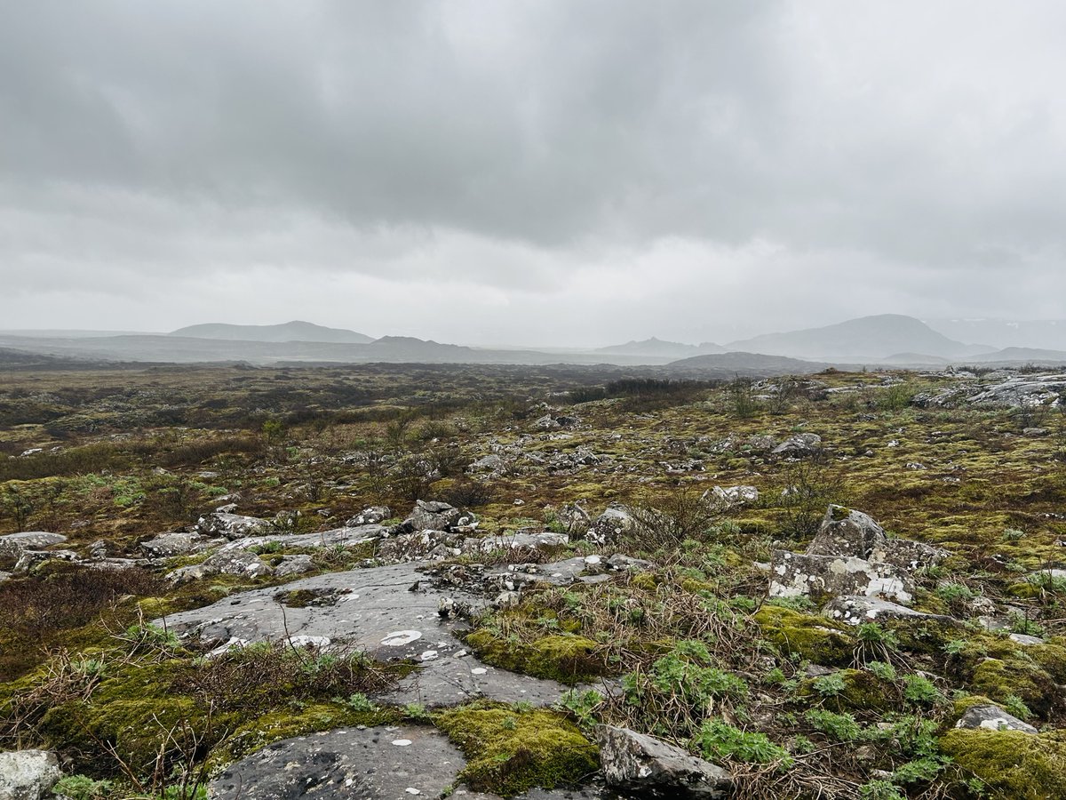 RTJ2GolfDesign's tweet image. Our latest design is in Iceland. Bruce Charleton and Mike Gorman recently wrapped up preliminary site routing studies on a spectacular site near Reykjavik.