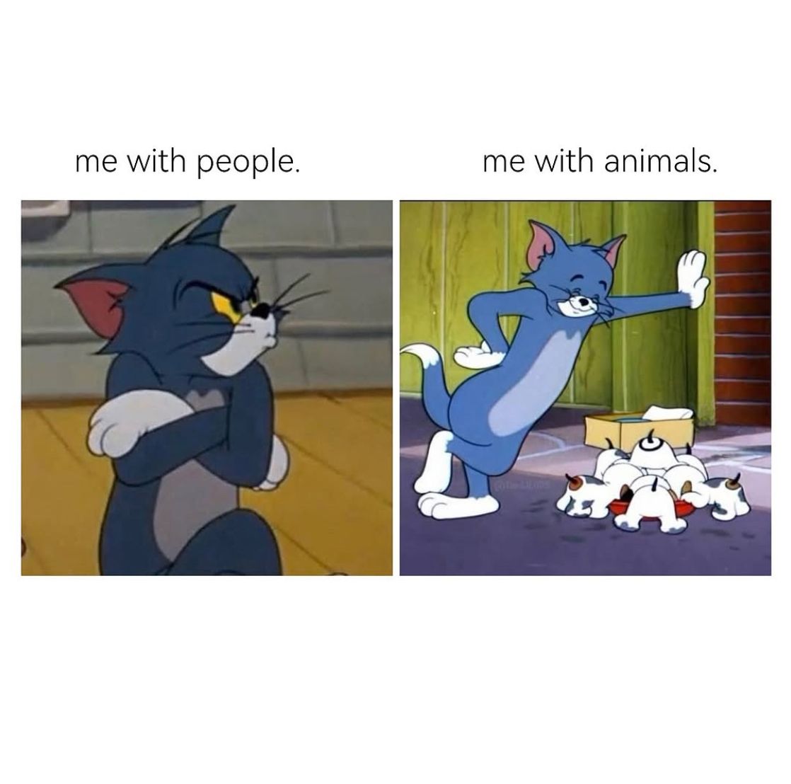 I totally agree 😊