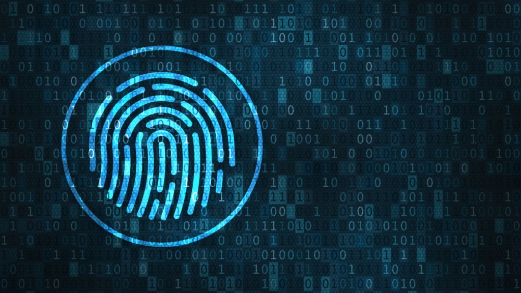 Marc St-Pierre tweet media