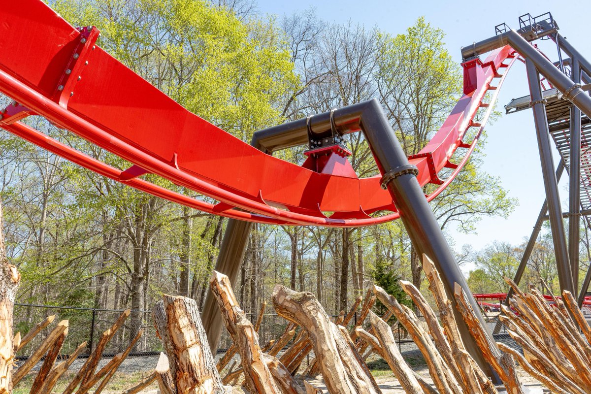 BuschGardensVA's tweet image. Members, exclusive ride time on The Big Bad Wolf: The Wolf’s Revenge starts this Friday during our Member-Exclusive ride night in Oktoberfest! Plus, enjoy additional ride time on May 17 &amp;amp; 18 from 11am - close.  🐺 🎢