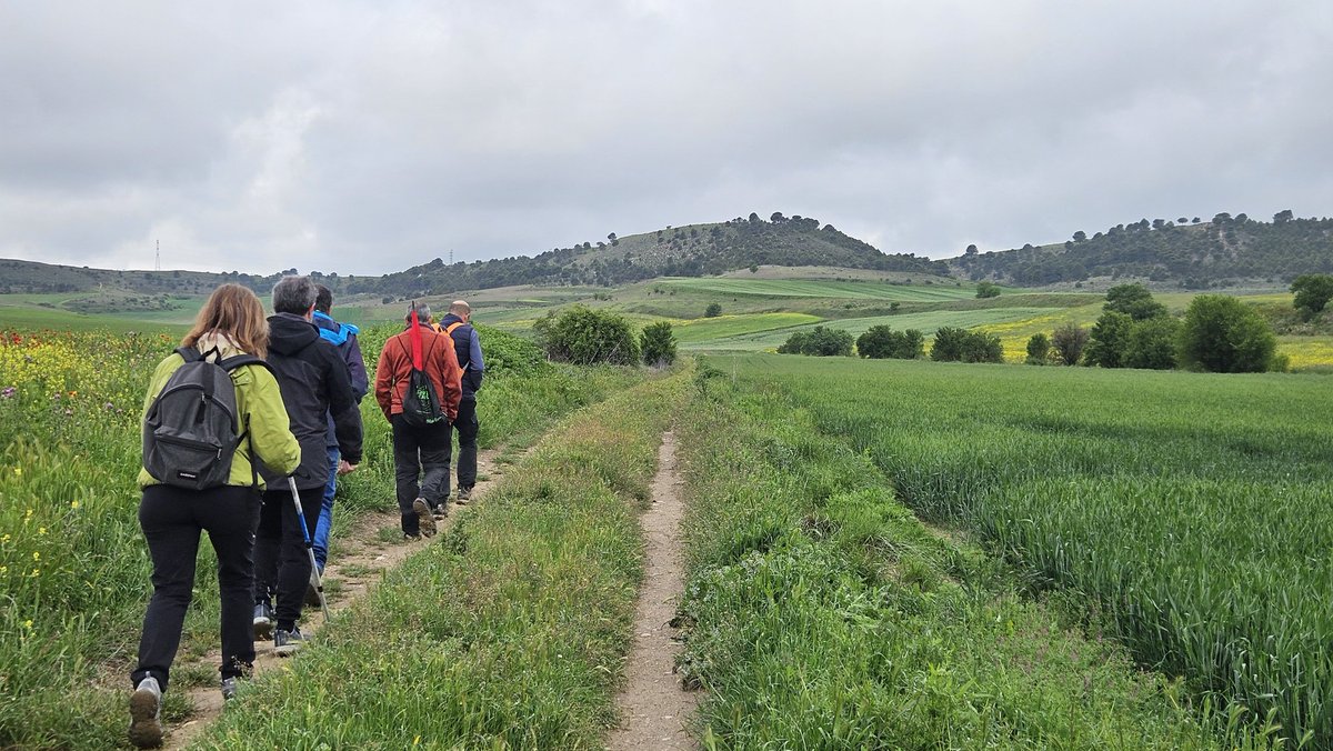 ✨ ¡Ya huele a monte!
Nuestros voluntarios están currando a tope para dejar el recorrido de 10 💪
📍 Señales puestas
🧹 Senderos limpios
Todo listo para que el 25 de mayo vivas la #ArroyadaTrail2025 como nunca
🙌 GRACIAS a ese equipazo que hace posible este sueño
¿Estás listo?