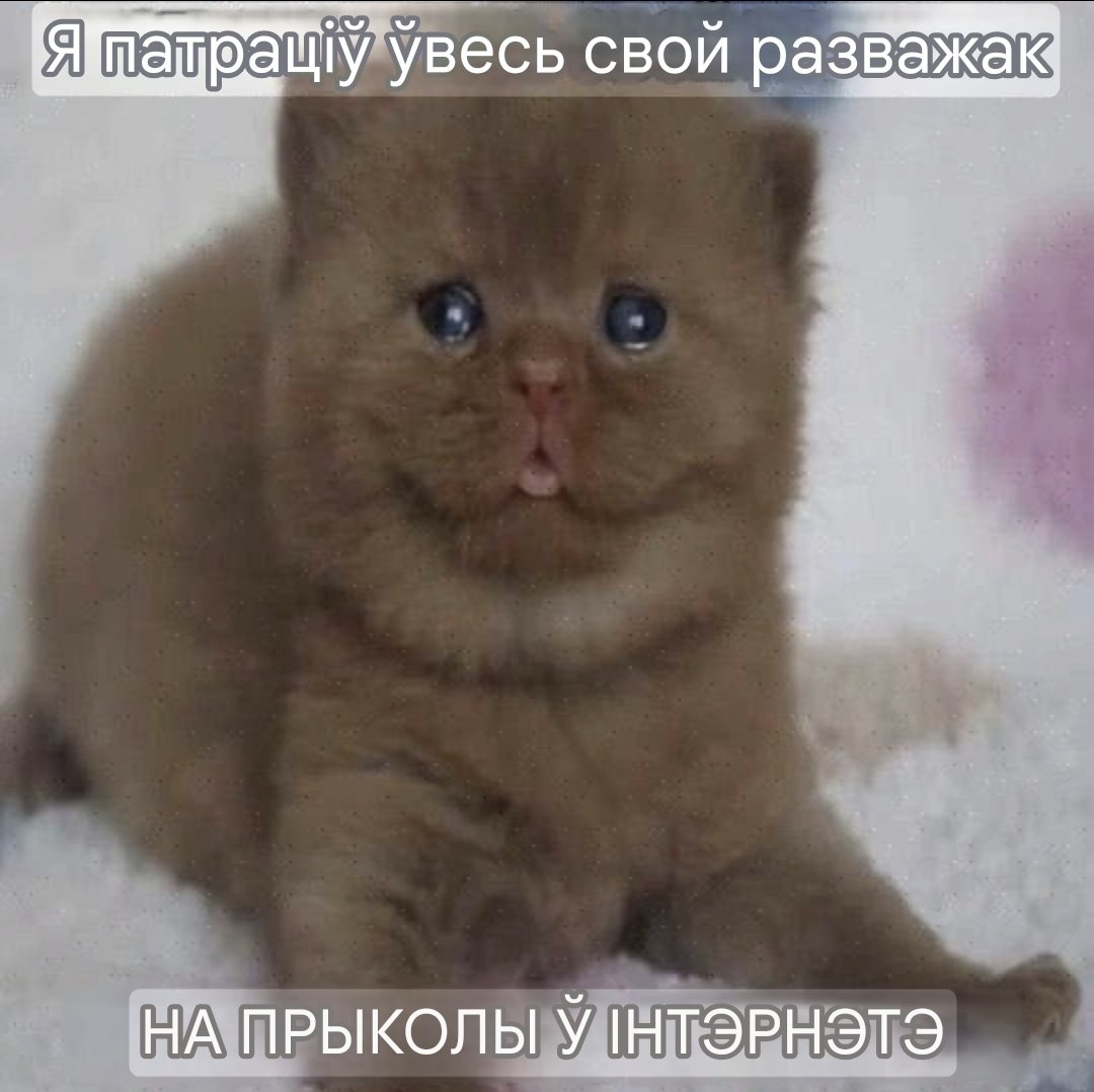 Гугл пераклаў "рассудок" як разважак
Хто мы такія каб з ім спрачацца