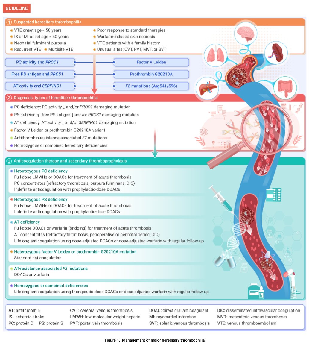 Alex Spyropoulos (@alexspyropoul) on Twitter photo New practical guideline on Management of #thrombophilia doi.org/10.1016/j.xinn… <a href="/Vasculearn/">Vasculearn Network</a> <a href="/PERTConsortium/">The PERT Consortium®</a> <a href="/AnticoagForum/">Anticoagulation Forum</a> <a href="/ThrombosisUK/">Thrombosis UK</a> <a href="/ThrombosisCan/">Thrombosis Canada</a> <a href="/canvector/">CanVECTOR Network</a> <a href="/thrombosisday/">World Thrombosis Day</a> <a href="/EuropeanTHA/">European Thrombosis & Haemostasis Alliance (ETHA)</a> <a href="/escardio/">European Society of Cardiology</a> <a href="/CMichaelGibson/">C. Michael Gibson MD</a> <a href="/theheartorg/">theheartorg | Medscape</a> <a href="/EuropeanTHA/">European Thrombosis & Haemostasis Alliance (ETHA)</a> New practical guideline on Management of #thrombophilia doi.org/10.1016/j.xinn… <a href="/Vasculearn/">Vasculearn Network</a> <a href="/PERTConsortium/">The PERT Consortium®</a> <a href="/AnticoagForum/">Anticoagulation Forum</a> <a href="/ThrombosisUK/">Thrombosis UK</a> <a href="/ThrombosisCan/">Thrombosis Canada</a> <a href="/canvector/">CanVECTOR Network</a> <a href="/thrombosisday/">World Thrombosis Day</a> <a href="/EuropeanTHA/">European Thrombosis & Haemostasis Alliance (ETHA)</a> <a href="/escardio/">European Society of Cardiology</a> <a href="/CMichaelGibson/">C. Michael Gibson MD</a> <a href="/theheartorg/">theheartorg | Medscape</a> <a href="/EuropeanTHA/">European Thrombosis & Haemostasis Alliance (ETHA)</a>