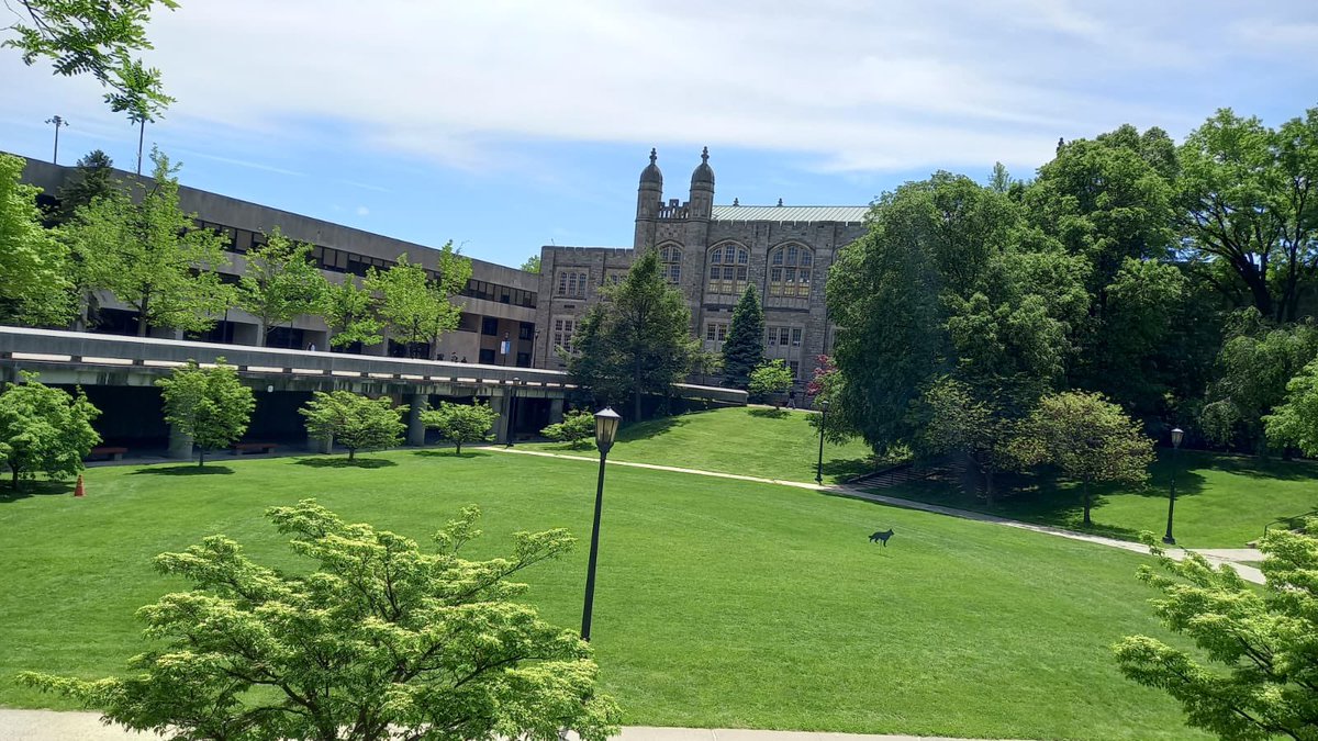 UCLM_internacional (@uclm_inter) on Twitter photo Visiting Lehman College (CUNY) <a href="/LehmanCollege/">Lehman College</a> in New York to strengthen ties in mobility, research, and joint projects. A vibrant university with a strong Hispanic student presence.
🔗 lehman.cuny.edu Visiting Lehman College (CUNY) <a href="/LehmanCollege/">Lehman College</a> in New York to strengthen ties in mobility, research, and joint projects. A vibrant university with a strong Hispanic student presence.
🔗 lehman.cuny.edu