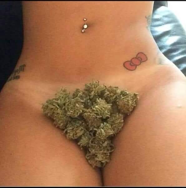 My 2 favorite thing $.