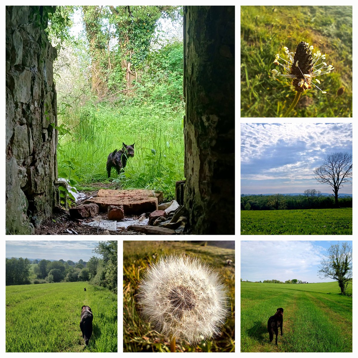 Day 12 of #MoveAMileADayInMay and <a href="/SouthernHSCT/">Southern Trust</a> learning and development team were happy to see the sun come back out after a morning of rain! <a href="/BHorganSHSCT/">Brenda Horgan</a>