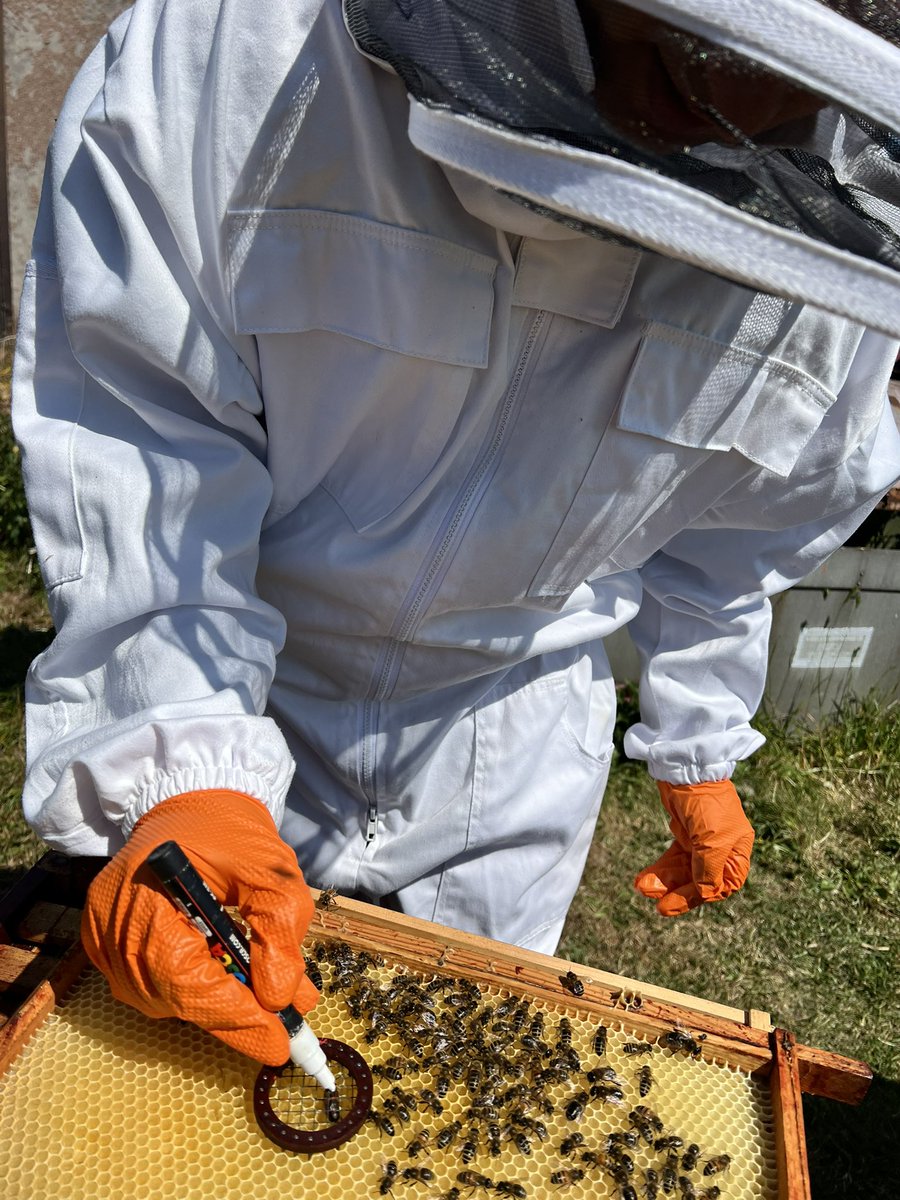 Farshad Arvin tweet media