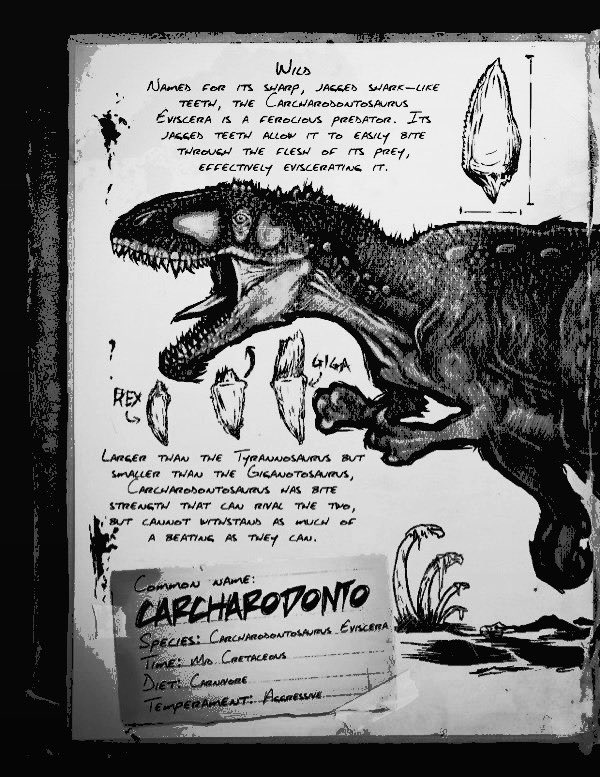 ‍ ‍ ᅟ ‍ ‍ 𝕵 ‍ ⊹ ‍𝙼𝙰𝚂𝚃𝙴𝚁𝙼͟𝙸͟𝙽͟𝙳‍ ‍ tweet media