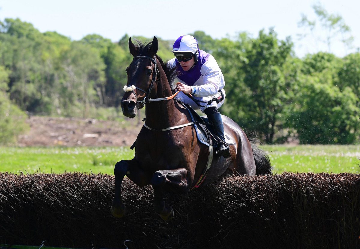 Vadamos Four-Year-Old Proves Cut Above On Debut.
Doubly Blessed (4g Vadamos – Mrs Jay Dee, by Heron Island) made an impressive start to his career... bit.ly/3Sw2k2j