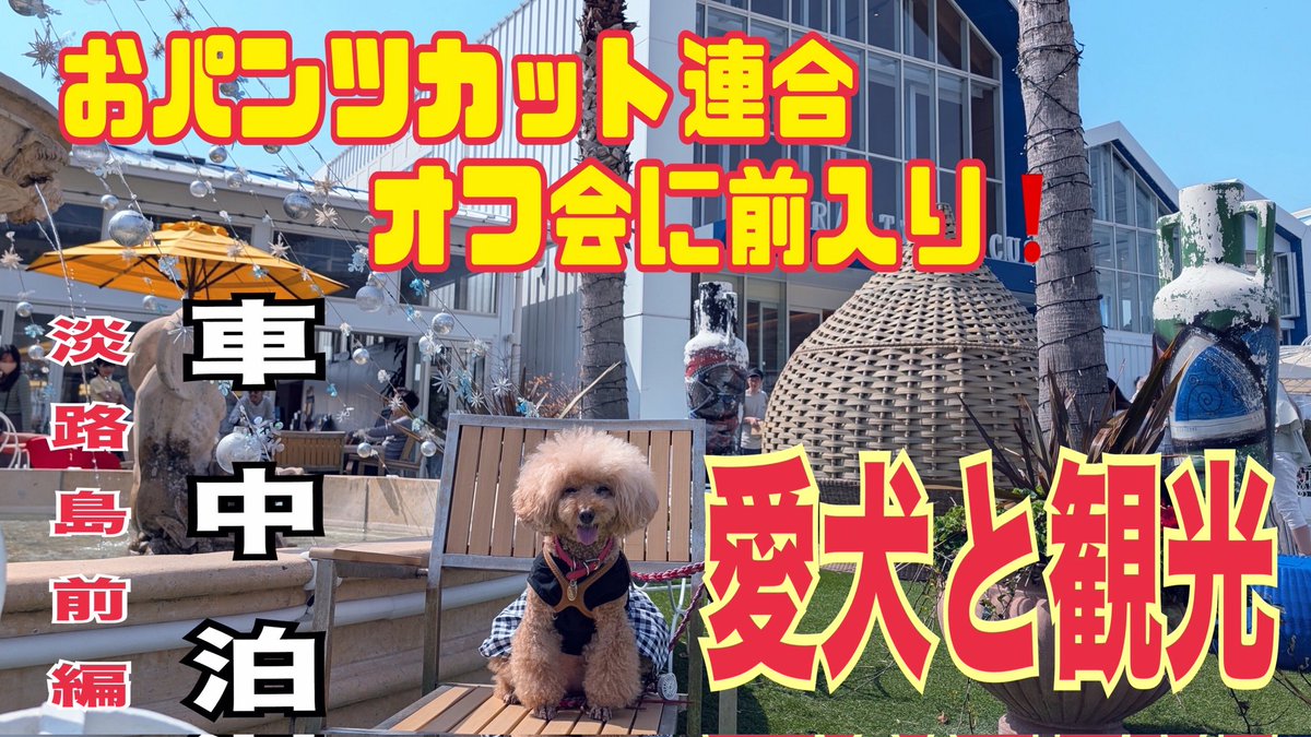 ikkitousenmm's tweet photo. 見に来てネ!
プロフィールからYouTubeにね
チャンネル登録もよろしくお願いいたします🙇 https://t.co/Ms0H9UMMzu