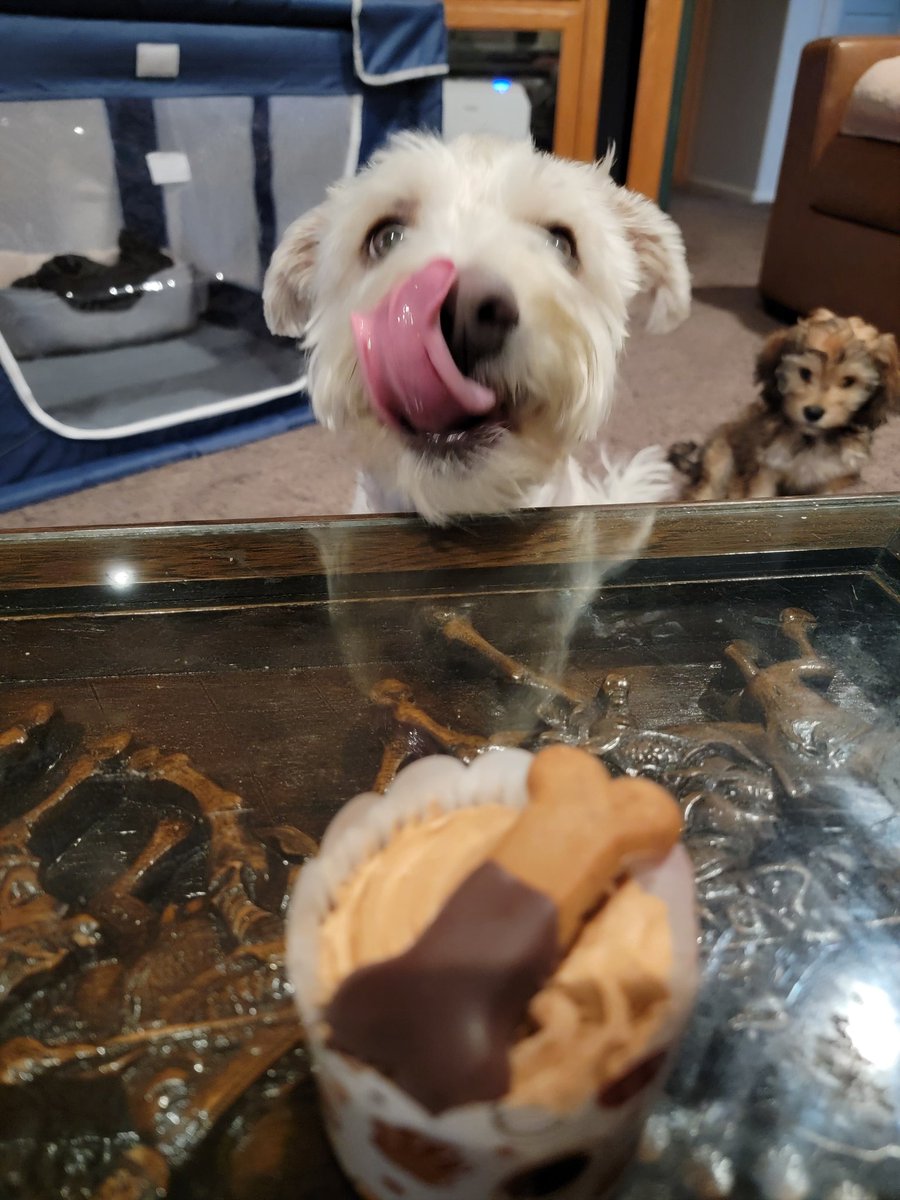 Aarik Dorobiala tweet media