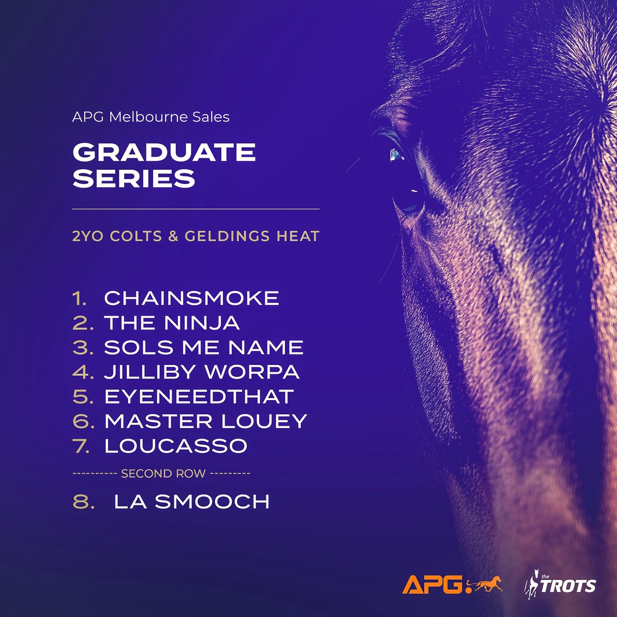 The Trots (@thetrotscomau) on Twitter photo Heats of the rich <a href="/AustPacingGold/">APG Ltd</a> series will take place <a href="/BendigoTrots/">Bendigo Harness</a> tomorrow night.
$150,000 finals are scheduled for Melton on May 24. Heats of the rich <a href="/AustPacingGold/">APG Ltd</a> series will take place <a href="/BendigoTrots/">Bendigo Harness</a> tomorrow night.
$150,000 finals are scheduled for Melton on May 24.