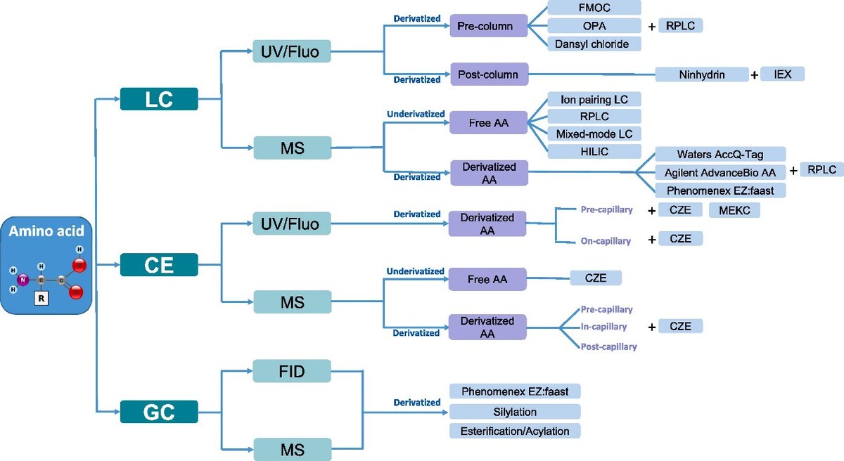 Boost your R&amp;D with Creative Proteomics' advanced AAA service:
🔹 LC-MS/MS &amp; MRM
🔹 High-throughput workflows
🔹 100+ amino acids &amp; derivatives
🔹 Supports plasma, tissue, peptides, &amp; more!
📥 Submit your request now:
 creative-proteomics.com/services/amino…
#AAA #Proteomics #AminoAcidAnalysis