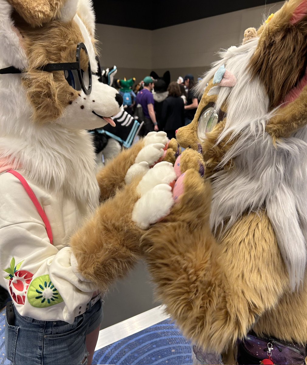 caffebark's tweet image. see? dogs and cats do get along :3c

🐱 Serenity
📷 @AkioFaux