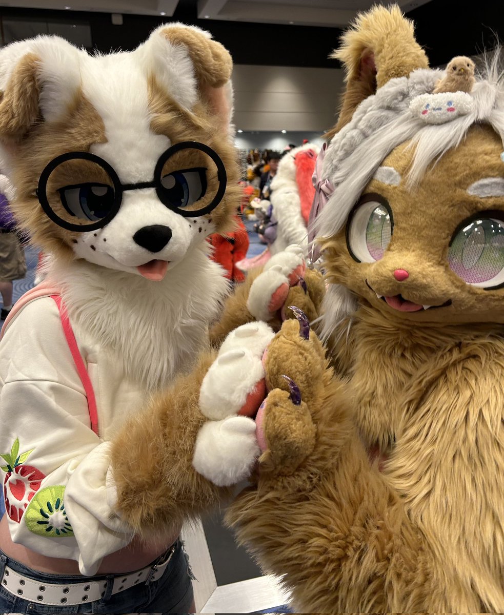 caffebark's tweet image. see? dogs and cats do get along :3c

🐱 Serenity
📷 @AkioFaux