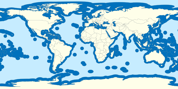 CaCO3planetary's tweet image. Bank your Exclusive Economic Zone&apos;s permanent inorganic carbon pools and self-finance your Nationally Determined Contributions with our #OceanNDCRemoval with Nature Productivity Bonds #NDCs 3.0 #COP30 #EEZ 

carbonoblanco.org/nuestros-servi…

🌐🇺🇳
#UNOC3 #OceanBasedSolutions #UNOC25 #UNOC