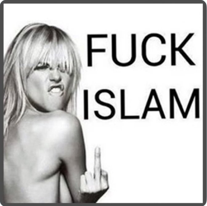 Oscar Dog (@oscardog566202) on Twitter photo 