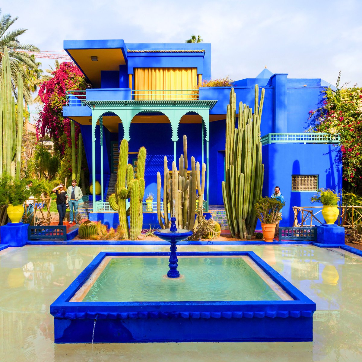 Study International tweet media