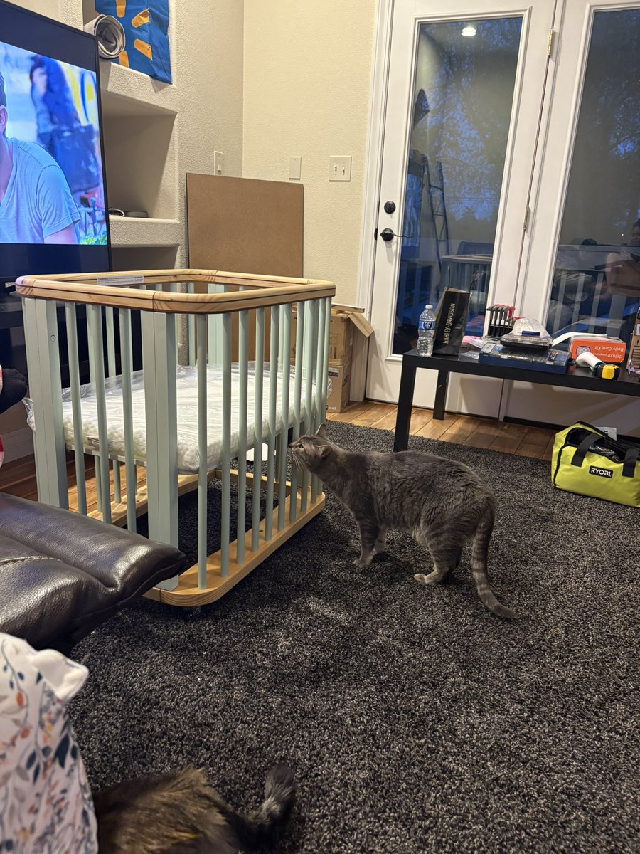 hellgirlT's tweet photo. we officially have our house and the crib has been built 🥹🥹 we really are parents https://t.co/K3vY50w7Ok