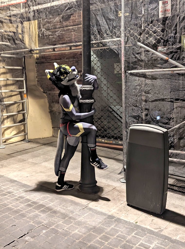 ⚠️ Caution:

Nighttime wolves may exhibit flirty behavior toward public infrastructure.

Here some tips:
- Do not approach
- Do not encourage
- Definitely... do not flirt back