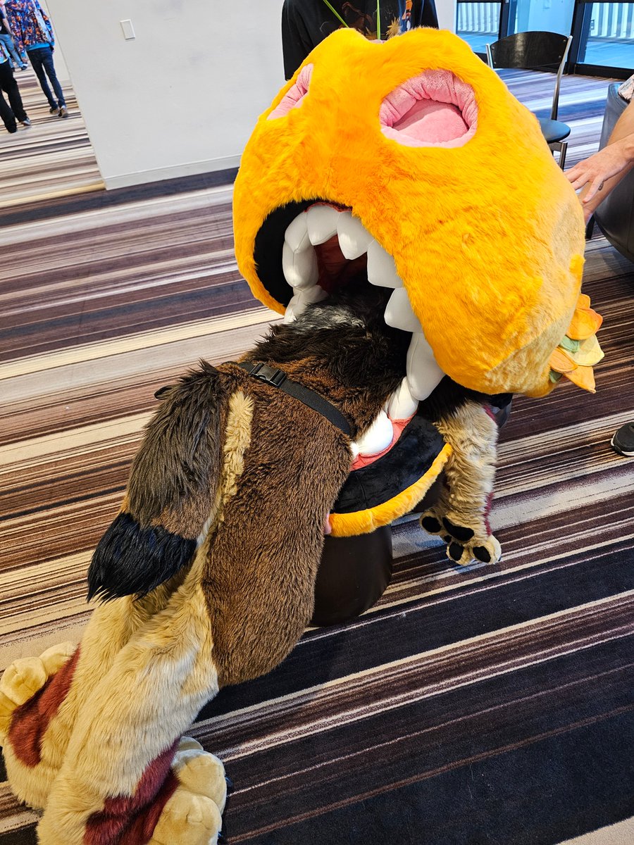 Good lord FWA just killed me 😆. The con was a blast 💦
#FWA2025