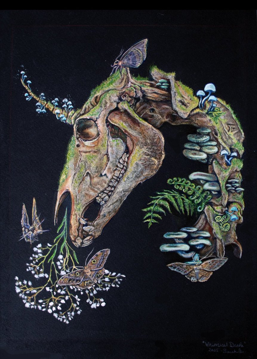 Sprout CoWorking tweet media