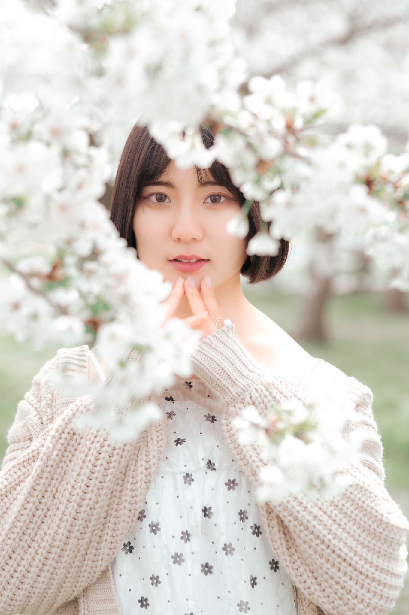 小桜 はる (@kozakuraaam) / X