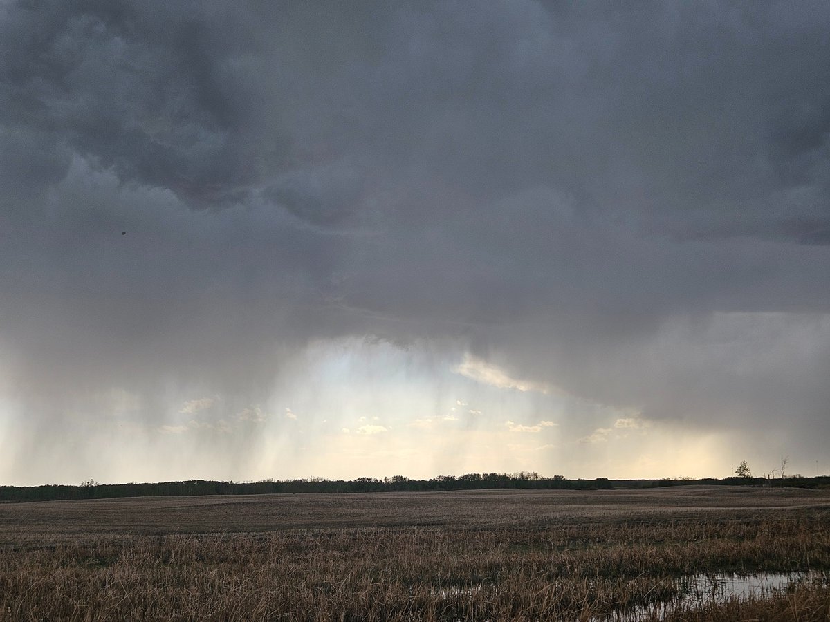 tempests98's tweet image. Sheho 4:30 pm under severe thunderstorm warning #sks