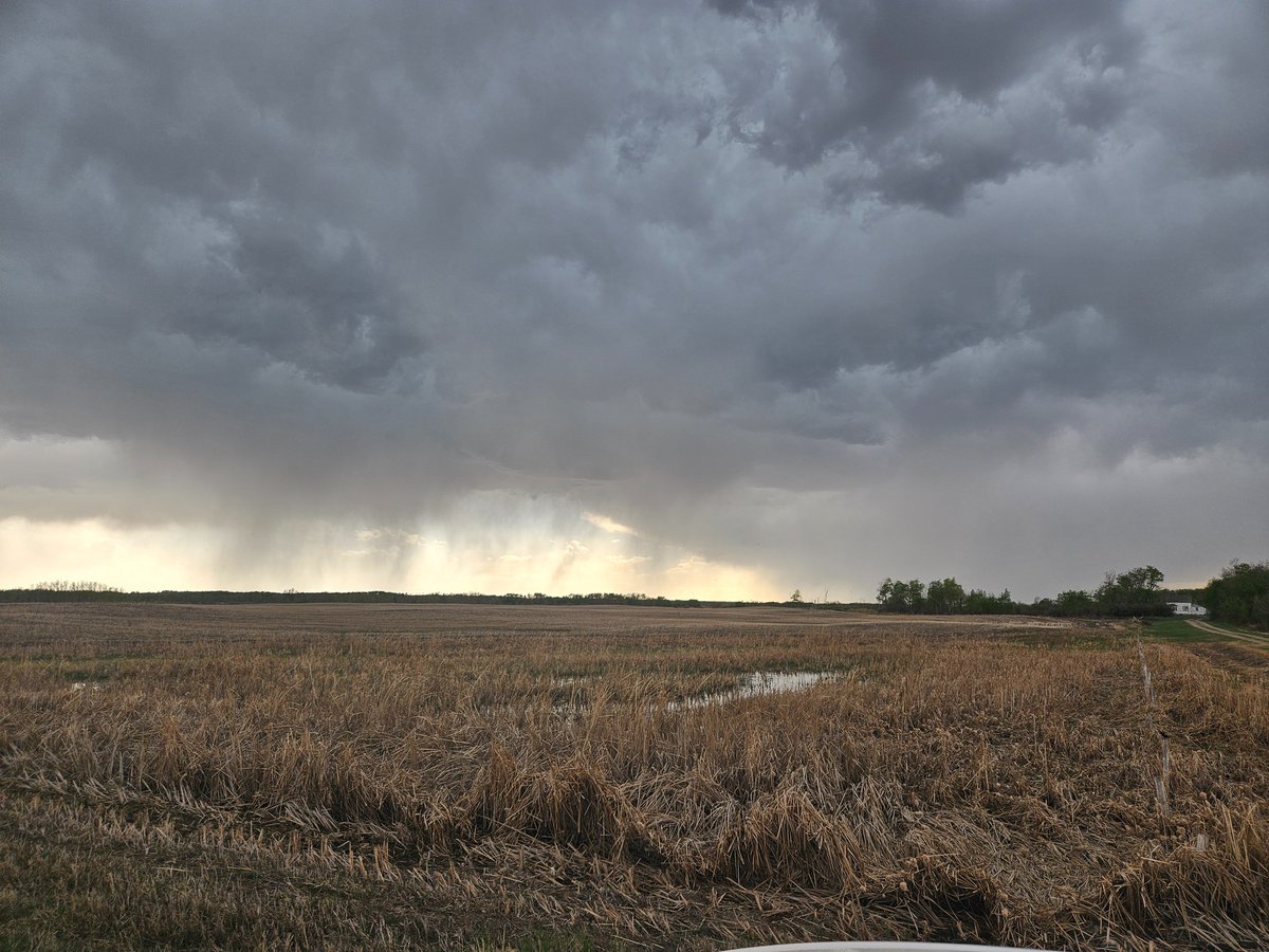 tempests98's tweet image. Sheho 4:30 pm under severe thunderstorm warning #sks