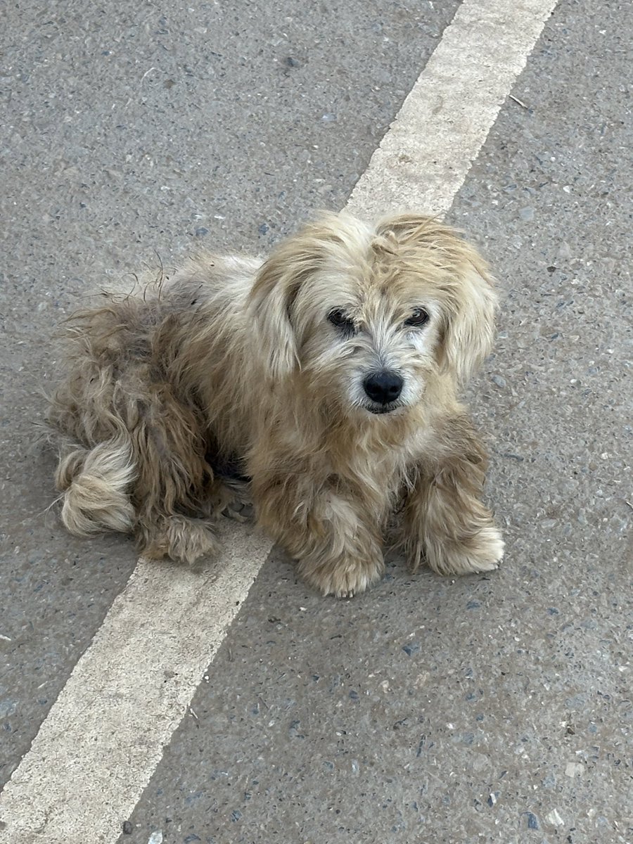 punthss's tweet image. 