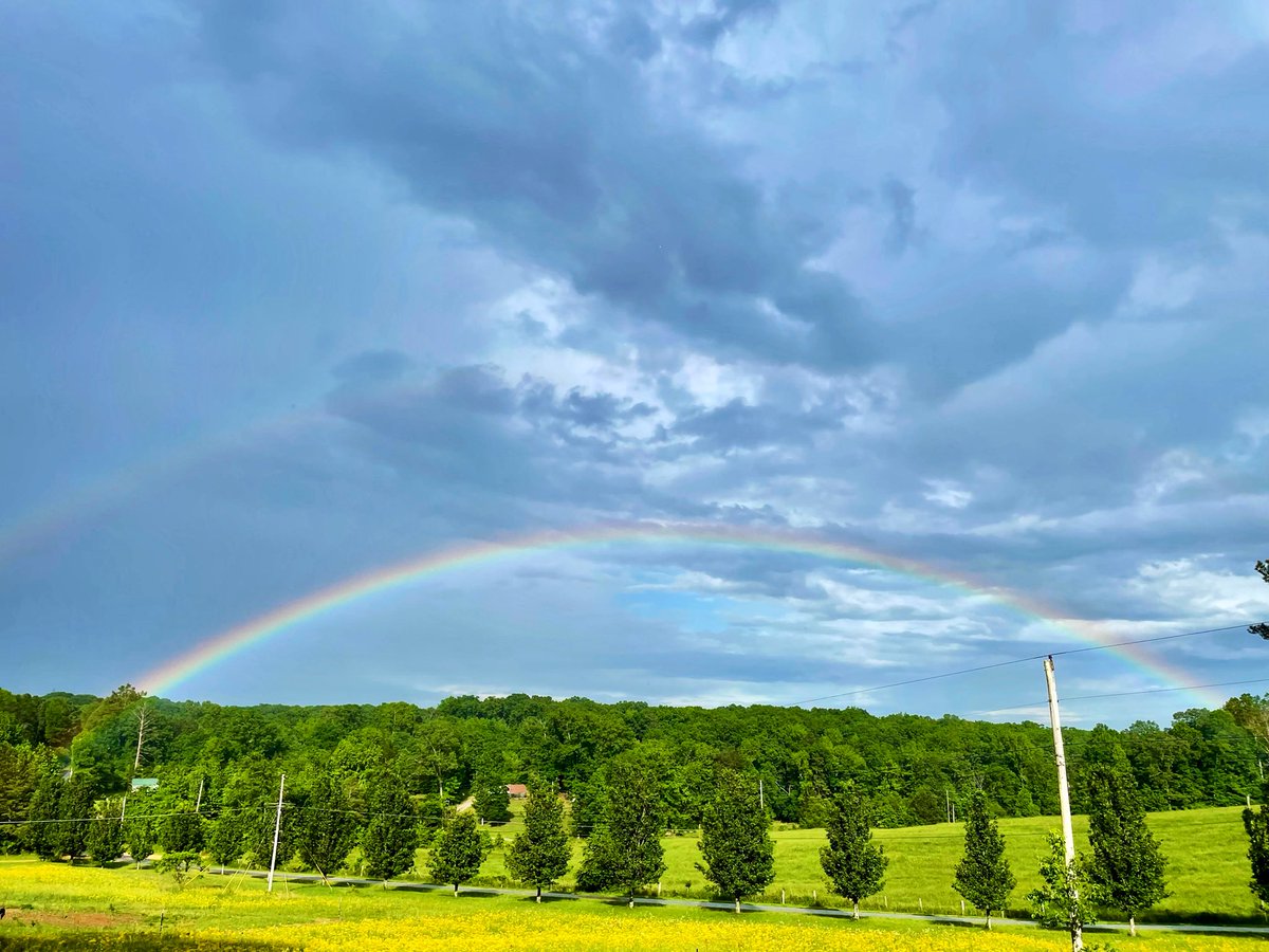 Tyler Elkins (@tyler_elkins84) on Twitter photo Beautiful rainbow near Belgreen at 5:15 pm <a href="/spann/">James Spann</a> <a href="/JDressmanWX/">Jordan Dressman</a> <a href="/megtomwx/">Meaghan Thomas</a> <a href="/BenSmith_WHNT/">Ben Smith</a> <a href="/StephWVTM13/">Stephanie Walker</a> <a href="/AnelloWx/">Grace Anello</a> <a href="/simpsonWVTM13/">Jason Simpson</a> <a href="/DanielleDozier/">Danielle Dozier News 19</a> <a href="/Jimmydreamsmb/">Jim O'Neil</a> <a href="/ThePhotoHour/">#ThePhotoHour</a> Beautiful rainbow near Belgreen at 5:15 pm <a href="/spann/">James Spann</a> <a href="/JDressmanWX/">Jordan Dressman</a> <a href="/megtomwx/">Meaghan Thomas</a> <a href="/BenSmith_WHNT/">Ben Smith</a> <a href="/StephWVTM13/">Stephanie Walker</a> <a href="/AnelloWx/">Grace Anello</a> <a href="/simpsonWVTM13/">Jason Simpson</a> <a href="/DanielleDozier/">Danielle Dozier News 19</a> <a href="/Jimmydreamsmb/">Jim O'Neil</a> <a href="/ThePhotoHour/">#ThePhotoHour</a>