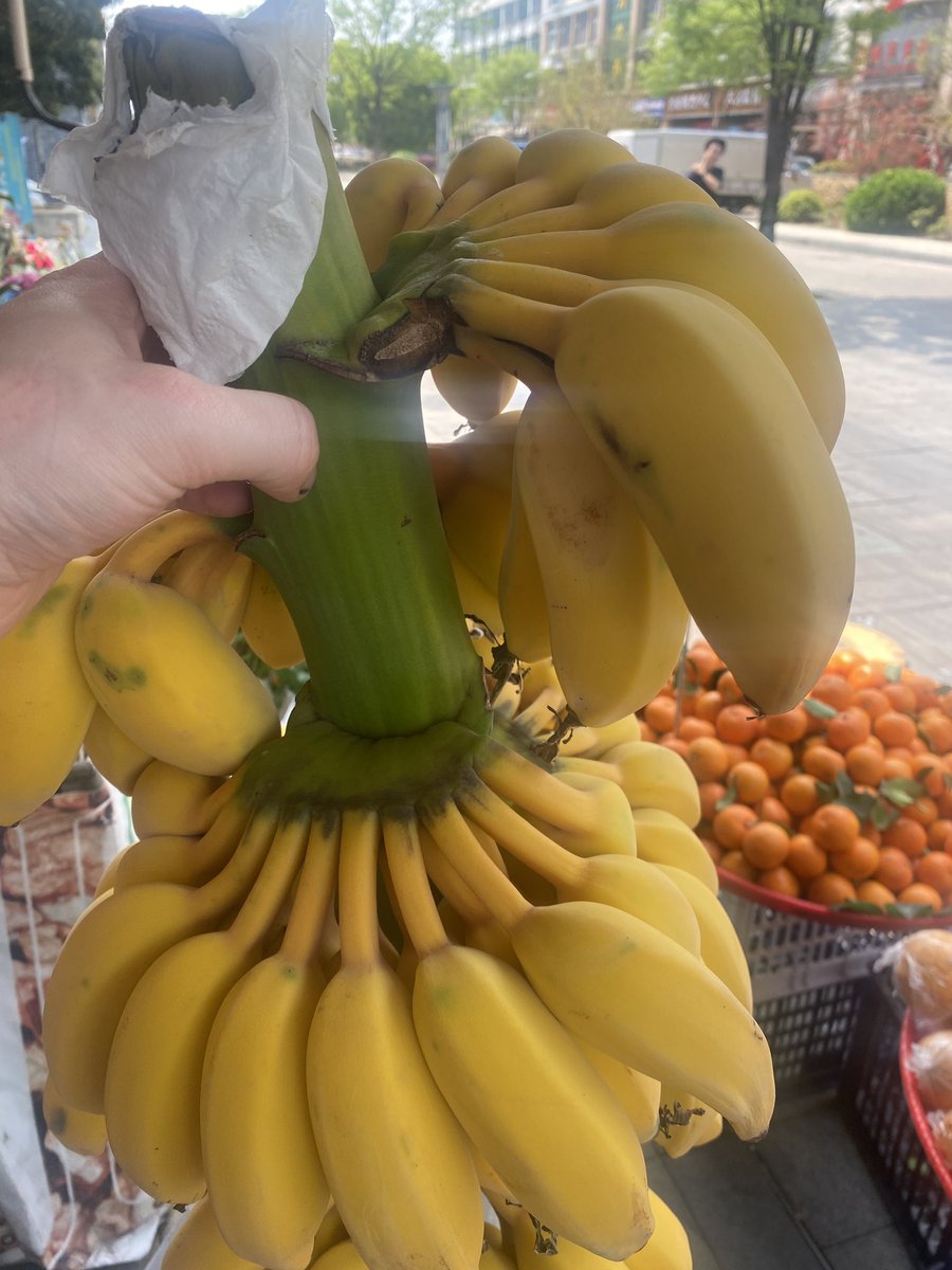 Tell me about Splatoon 4- wrong answers only