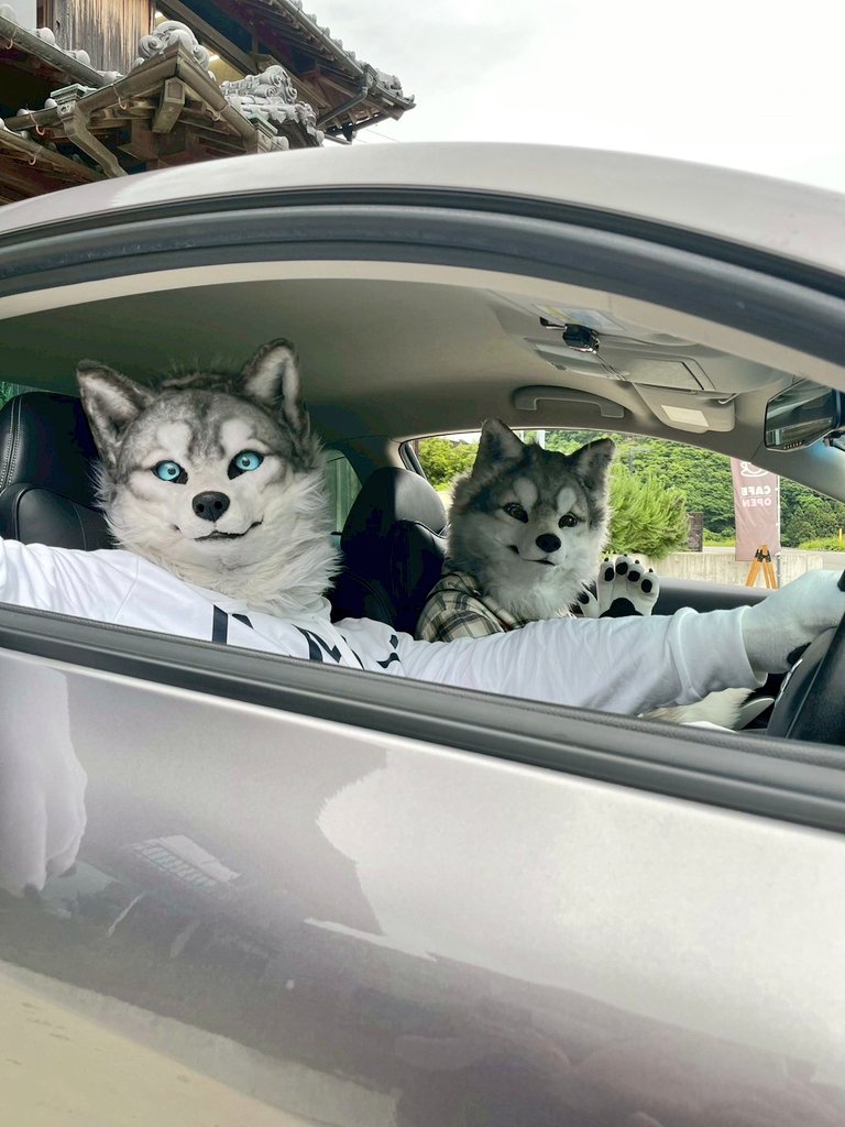 ロキさん🐺とドライブ🚗
#やまいぬカフェ
