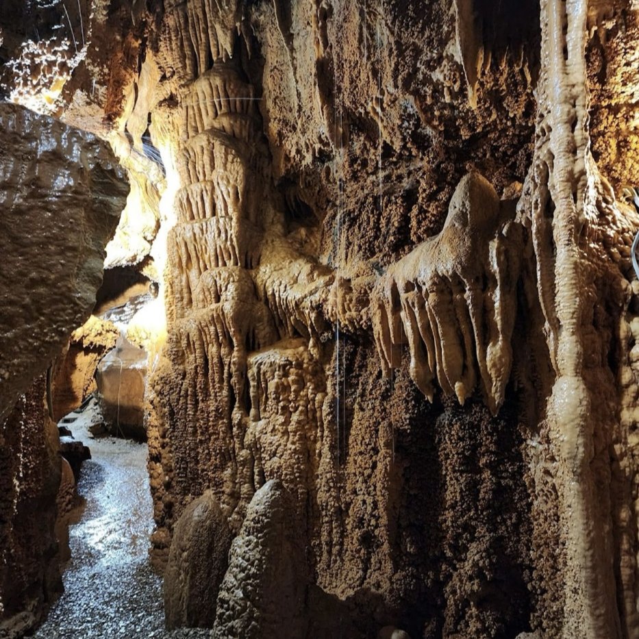 KentuckyTourism's tweet image. The Caves, Lakes, and Corvettes region is taking over our socials for a few days to offer up all of the good vibes for you cool cats. Did you know caves are ALWAYS a pleasant 58 degrees or so? Yep, way down we go! Check out caveslakescorvettes.com for all cave options.