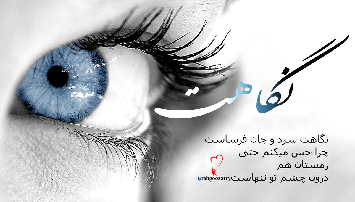 #فالوبک_تضمینی   #فالو_حمایتی