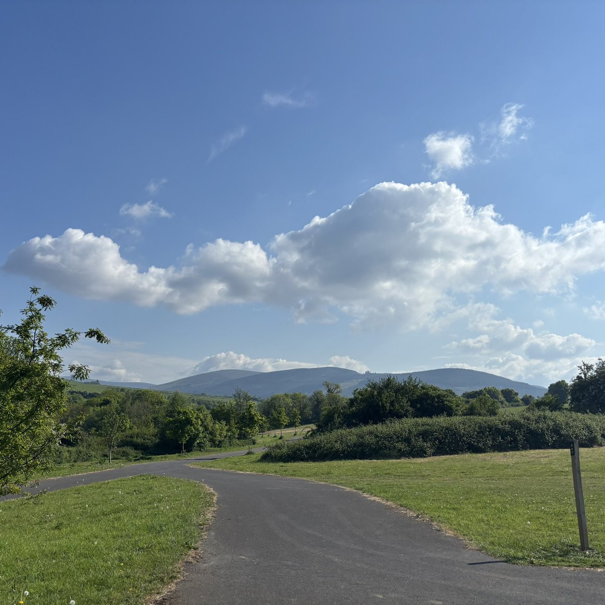 Eithne Harley tweet media