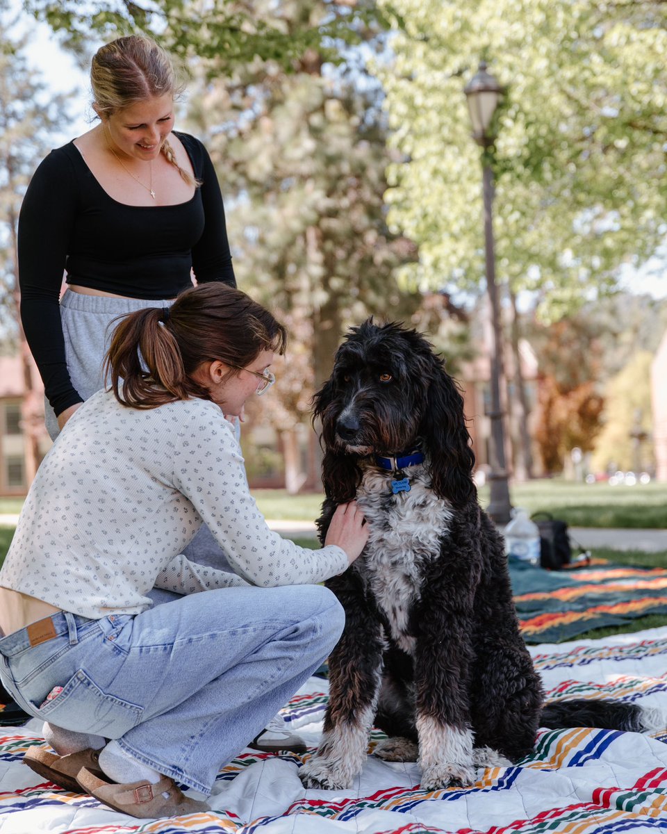 It’s that time again for some therapy dog relaxation! 🐶🐾 Thank you Dolly and Mr. Clark for helping us decompress and relax as we enter into finals week!